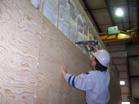 Exterior Glued and Screwed